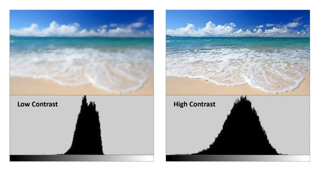 In-Car Display Color & Brightness Consulting