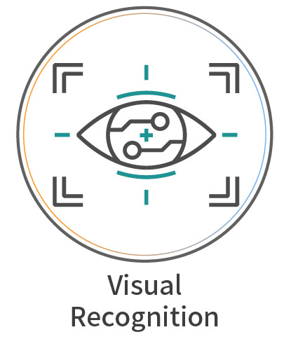 Allion ART-Visual Recognition