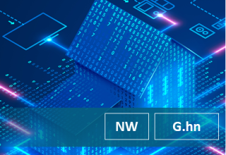 Potential Risks of G.hn Home Networking