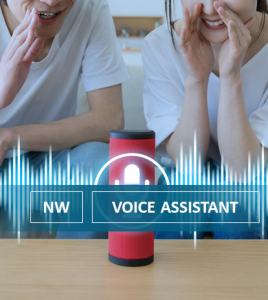 Smart Voice Assistants Leaving You on Read?