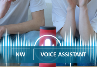 Smart Voice Assistants Leaving You on Read?