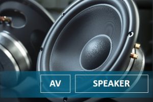 Solving Sound Distortion for Speakers is Not That Easy