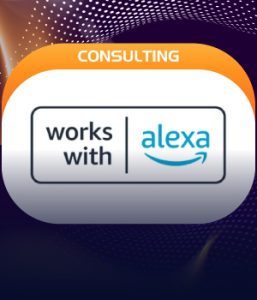 Works with Alexa (WWA)