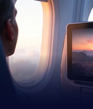 In Flight Entrainment Consulting Program