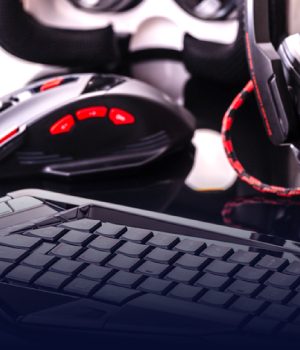 Input Device Consulting Program