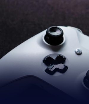 Joystick Consulting Program