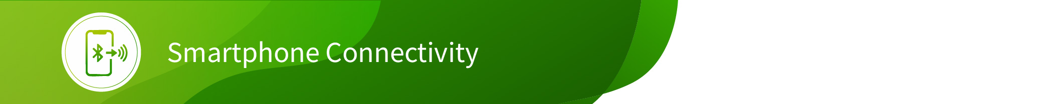 In-Country Road Test Consulting Program